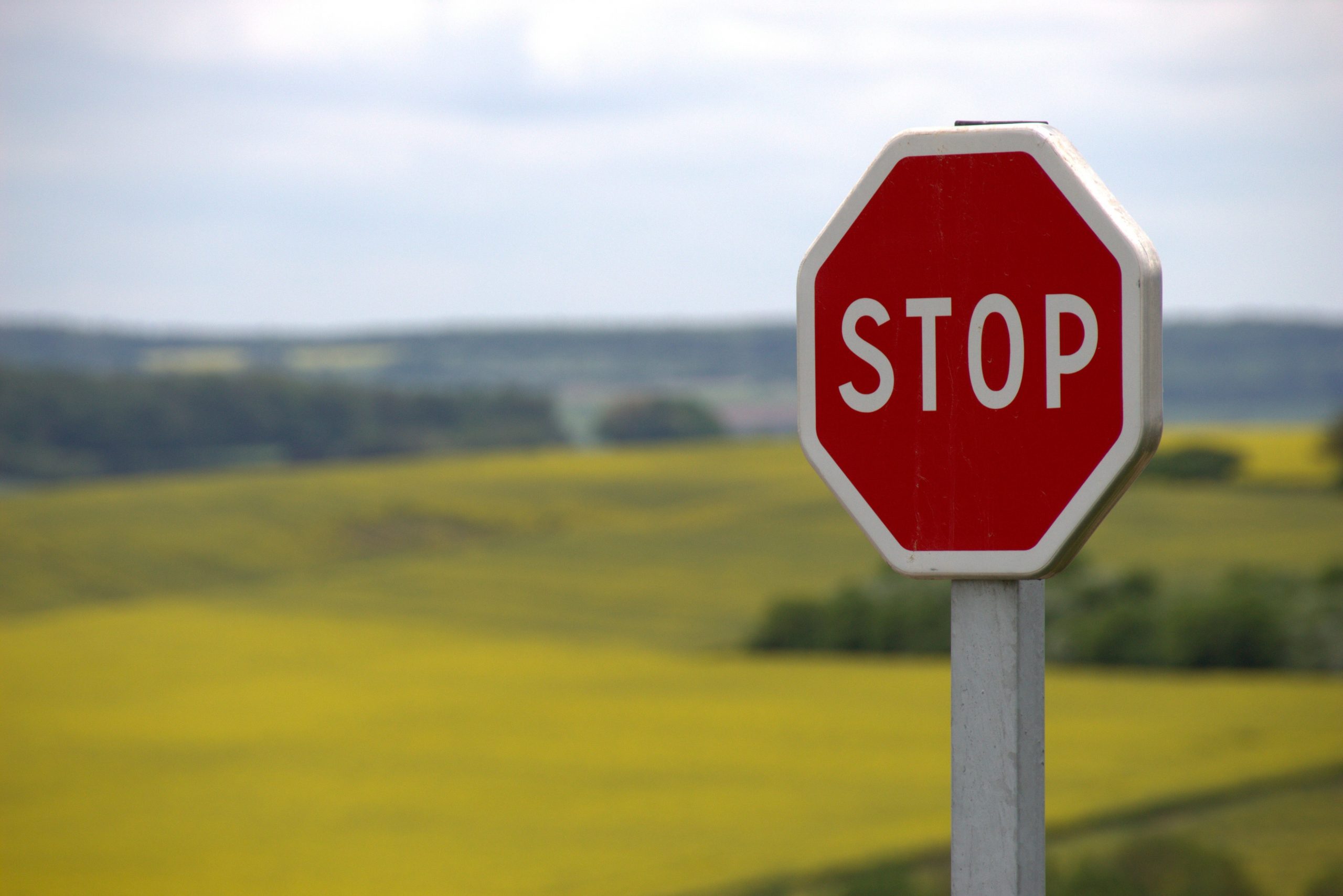 red stop sign in front of a field